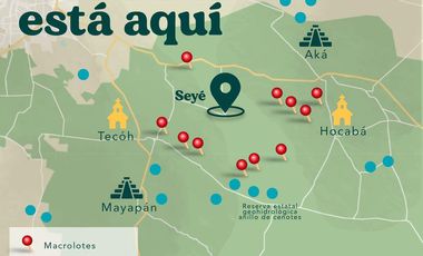 Terreno de inversión con extensa superficie de 70,000m2 en Seyé Capital, Yucatán