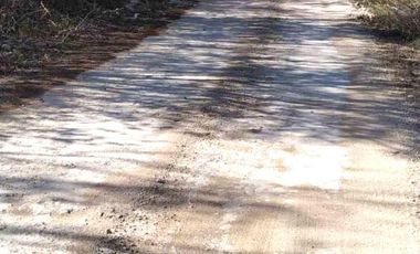 Terreno de inversión con extensa superficie de 70,000m2 en Seyé Capital, Yucatán