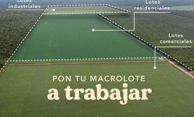 Terreno de inversión con extensa superficie de 70,000m2 en Seyé Capital, Yucatán