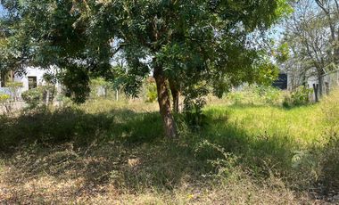Terreno en venta - Pueblo Oacalco, Yautepec, Morelos