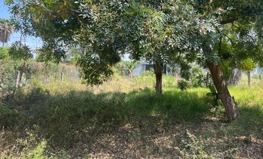 Terreno en venta - Pueblo Oacalco, Yautepec, Morelos