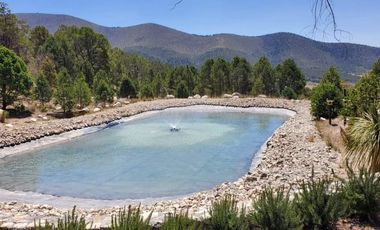 Hermosa Quinta en Bosque Boreal, La Efigenia, Carr. a San Antonio de las Alazanas, Coahuila