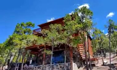 Hermosa Quinta en Bosque Boreal, La Efigenia, Carr. a San Antonio de las Alazanas, Coahuila