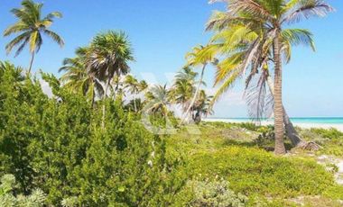 TERRENO EN VENTA EN BACALAR