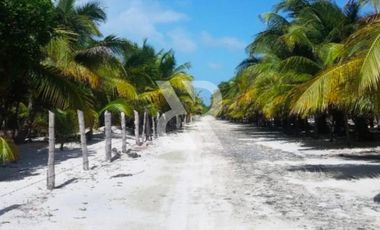 TERRENO EN VENTA EN BACALAR