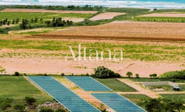 Terrenos en venta a 15 minutos de Puerto Escondido