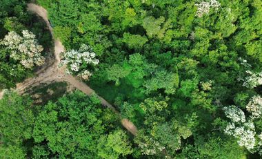 Terreno en Congregacion Playa Zipolite
