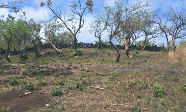 Se vende terreno en Tepoztlán Morelos