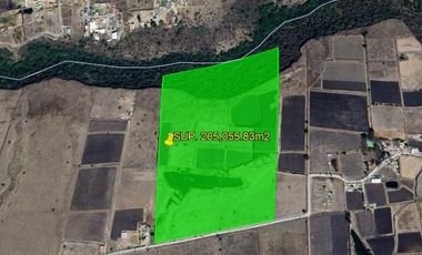 TERRENO EN VENTA  SAN PABLO, EL BANCO  JILOTEPEC, HIDALGO , SUP. 20 HECTÁREAS