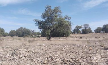 TERRENO ZUMPANGO PASEO BICENTENARIO SUP. 8,043.29 MTS