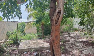 Casa en  venta en Orquídeas