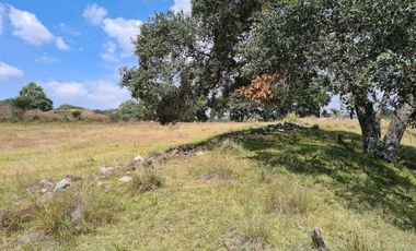 TERRENO EN VENTA EN LA OCOTERA