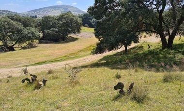 TERRENO EN VENTA EN LA OCOTERA