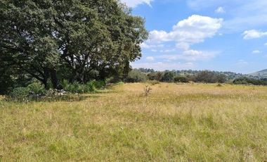 TERRENO EN VENTA EN LA OCOTERA