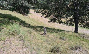 TERRENO EN VENTA EN LA OCOTERA