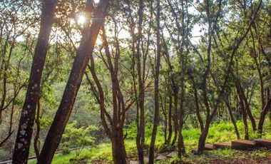 Lote en venta en Haras del Bosque, Puebla desde 250m2