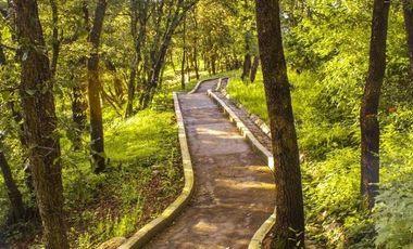 Lote en venta en Haras del Bosque, Puebla desde 250m2