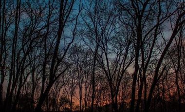 Lote en venta en Haras del Bosque, Puebla desde 250m2