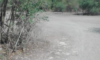 Terreno en  Llera Tamaulipas