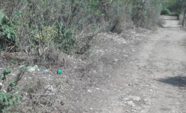 Terreno en  Llera Tamaulipas