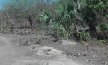 Terreno en  Llera Tamaulipas