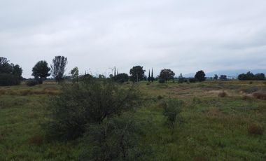 VENTA | Terreno vocacion Habitacional de 4 Ha. , Pedro Escobedo, Qro.