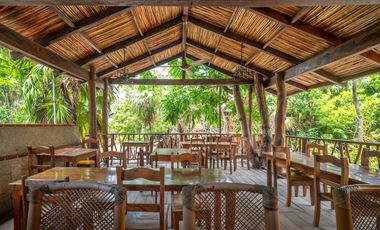 Hotel Frente al Mar Zona Hotelera Tulum