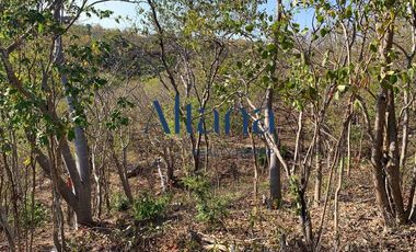 Terreno en  Puerto Ángel