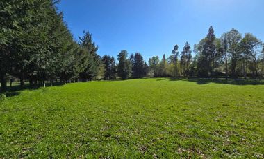 Parcela en venta  en PITRUFQUÉN