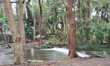 Quinta - Fraccionamiento Pedregal de las Fuentes