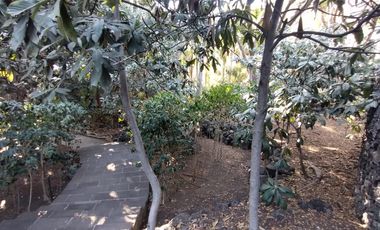 Quinta - Fraccionamiento Pedregal de las Fuentes