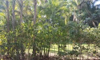 Quinta - Fraccionamiento Pedregal de las Fuentes