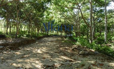 Terreno - San Pedro Pochutla