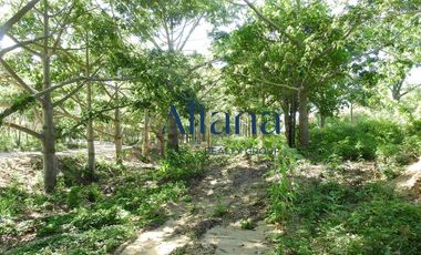 Terreno - San Pedro Pochutla