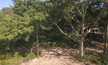 Terreno - San Pedro Pochutla