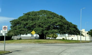 Casa Nueva en Venta Lomas del Dorado Boca del Río