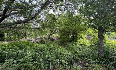 Terreno en Fraccionamiento Jacarandas