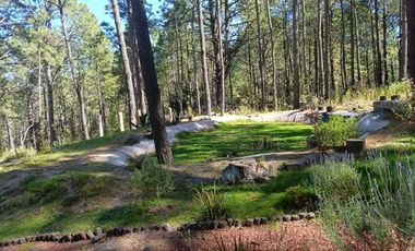 Lotes en venta en el bosque La Malinche, Tlaxcala