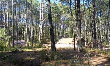 Lotes en venta en el bosque La Malinche, Tlaxcala