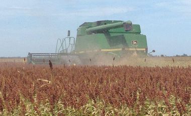 Se vende rancho agrícola Matamoros San Fernando tamaulipas