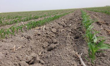 Se vende rancho agrícola Matamoros San Fernando tamaulipas