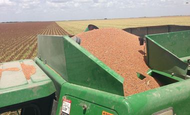 Se vende rancho agrícola Matamoros San Fernando tamaulipas