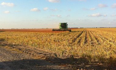 Se vende rancho agrícola Matamoros San Fernando tamaulipas