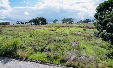 Terrenos en venta en Haras Lago Norte