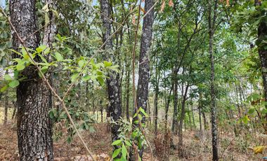 Casa en Venta Club de Golf Altozano colinda campo de Golf