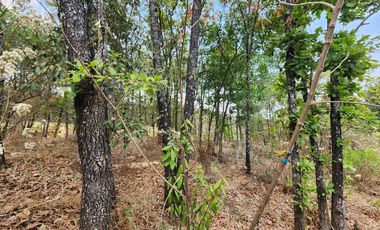 Casa en Venta Club de Golf Altozano colinda campo de Golf