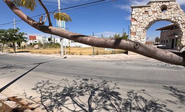 Terreno - Bosques del Paraíso I