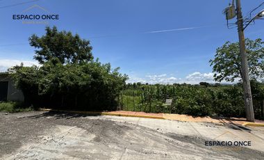 Terreno en Solidaridad