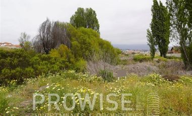 Sitio en Venta en Rosario de Peñuelas
