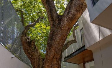 CASA EN VENTA BUENAVISTA